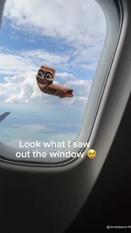 Look What I Saw Out the Window