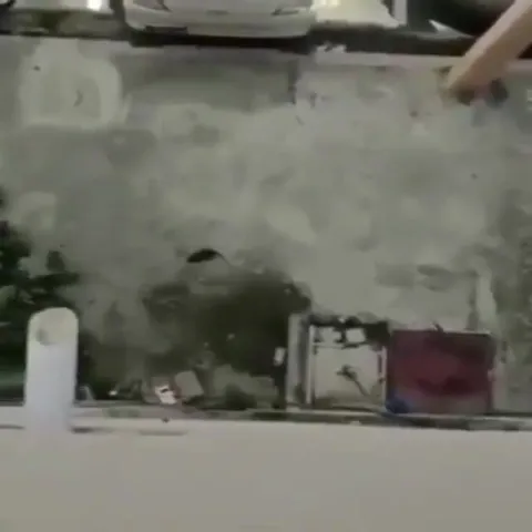 Головастик плывёт к судьбе