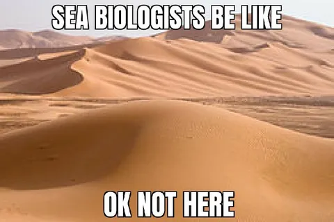 Sea Biologists in the Desert