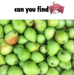 Can You Find the Hidden Girl
