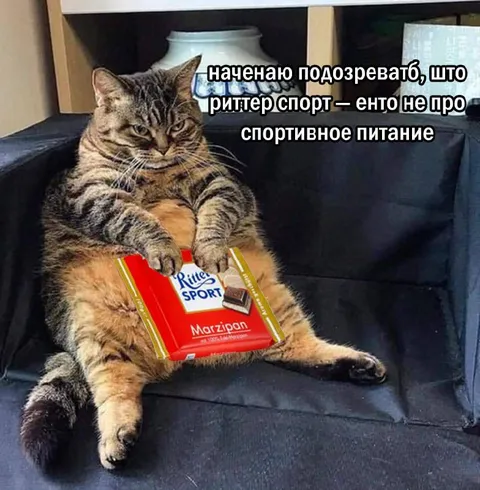 Риттер Спорт не про спорт