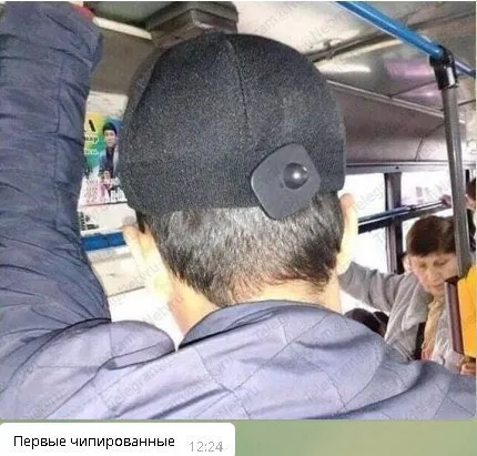 Первые чипированные
