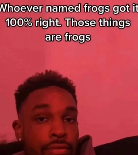 Whoever Named Frogs Was Right