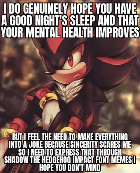 Shadow Wishes You Good Sleep