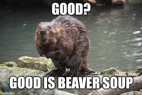 Good Is Beaver Soup
