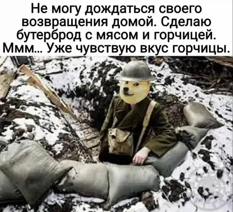 Doge ждёт возвращения домой