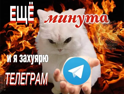 Ещё минута — и я захуярию Телеграм