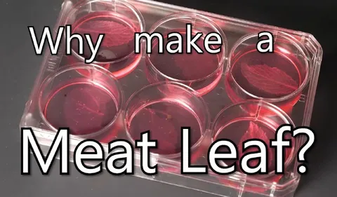 Why Make a Meat Leaf?