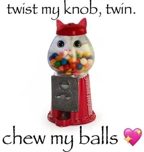 Twist My Knob, Twin