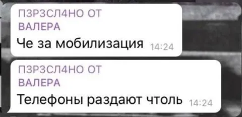 Че за мобилизация