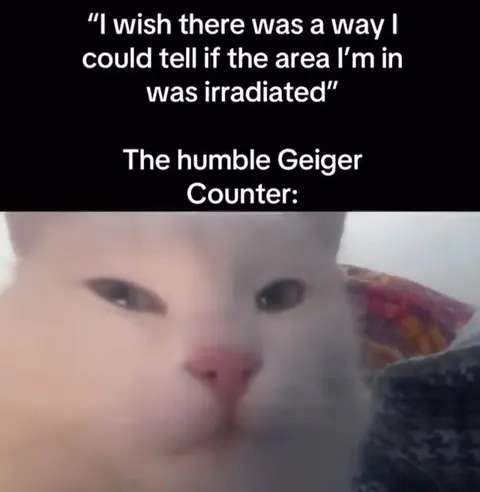 Humble Geiger Counter Cat