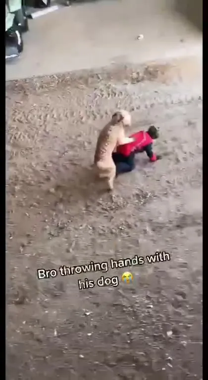 Bro Dancing With His Dog