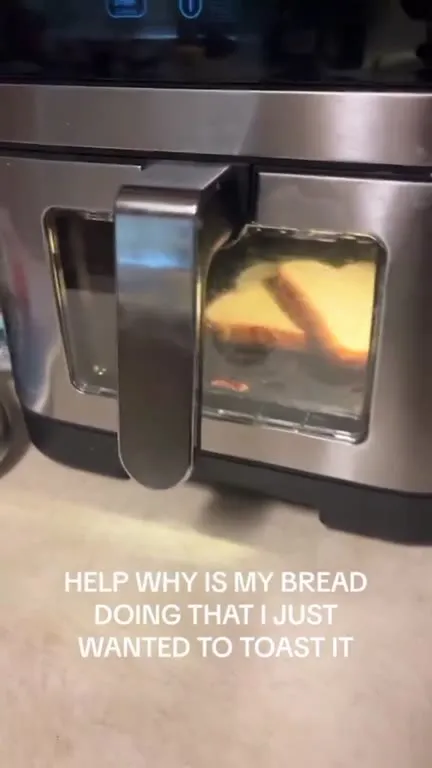 Bread Refuses to Toast