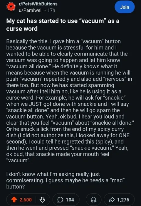 Cat Uses Vacuum as Curse Word