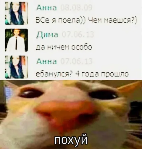 Похуй кот про четыре года