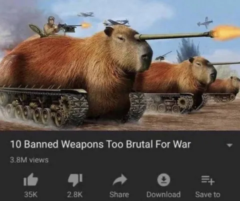 Capybara Tank Weapons
