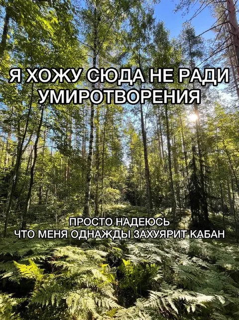 Кабан однажды захуярит