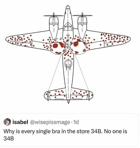 Every Bra Is 34B