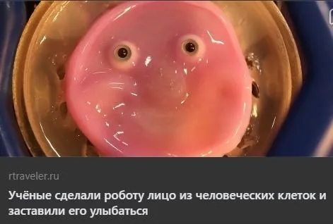 Робот улыбается из человеческих клеток