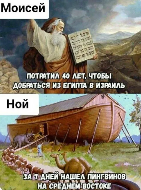 Моисей и Ной нашли пингвинов