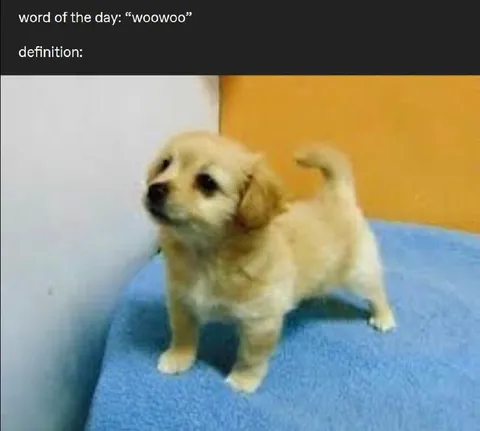 Word of the Day Woowoo Puppy