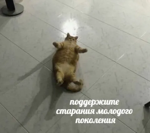 Поддержите молодое поколение