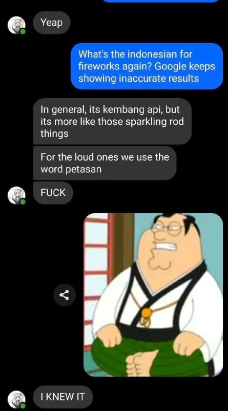 Indonesian Fireworks Search Fail