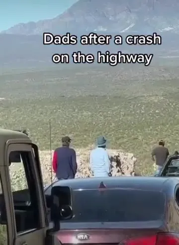 Dads Investigate Highway Crash