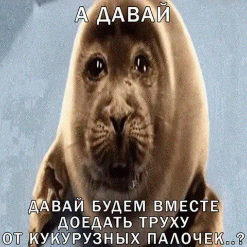 Давай будем вместе доедать труху