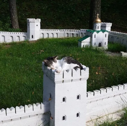 Кот на крепостной башне