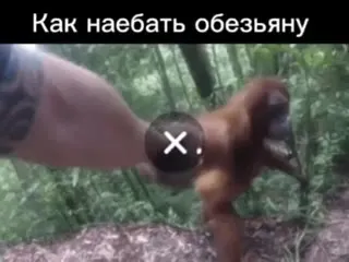 Как наебать обезьяну