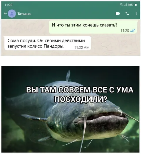 Сом запустил колесо Пандоры