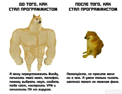 До и после работы программистом