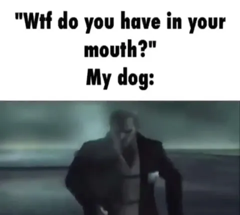 What Do You Have in Your Mouth?