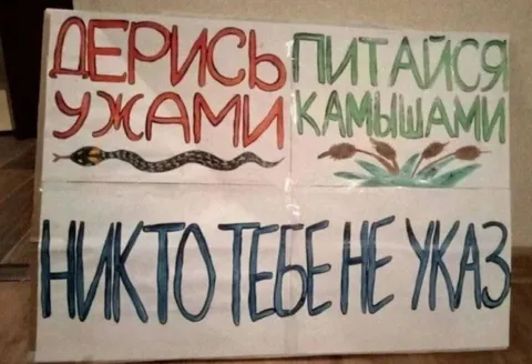 Никто тебе не указ