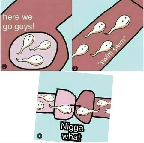 Tadpoles Swim Into Confusion