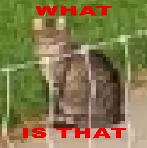 What Is That Pixelated Animal