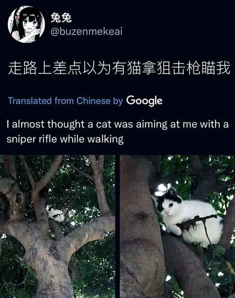 猫咪狙击手
