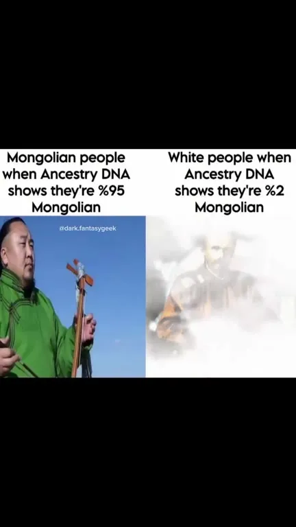 Ancestry DNA Percentages