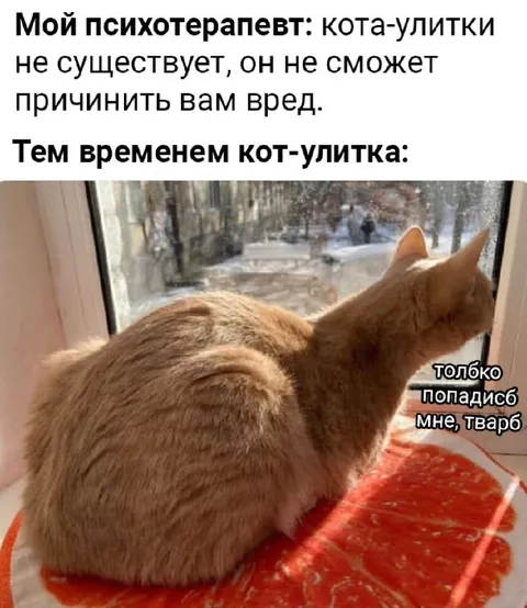 Кот-улитка угрожает психотерапевту