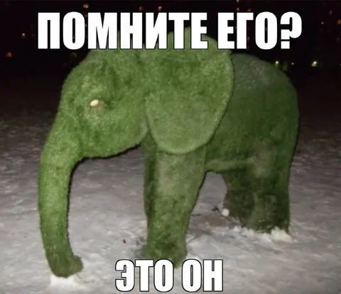 Помните его? Это он