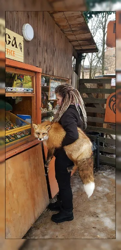 Woman Carries a Fox