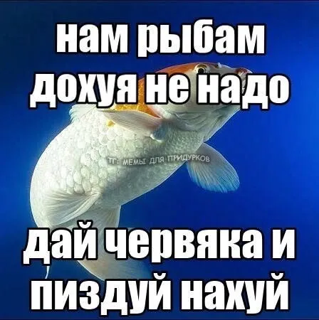 Нам рыбам дохуя не надо