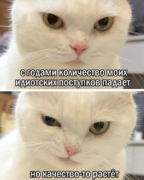 Количество глупых поступков падает