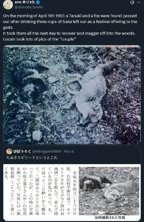 Tanuki and Fox Sake Hangover
