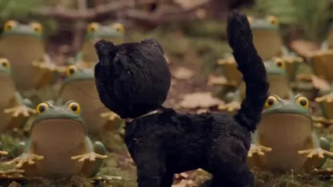 Чёрный кот среди лягушек