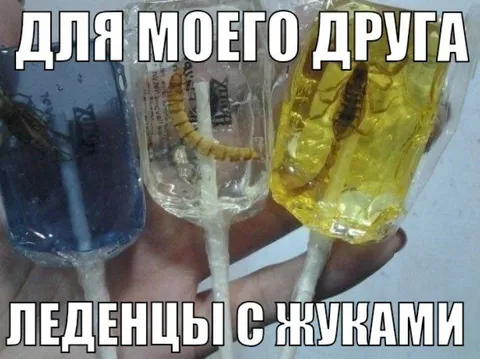 Леденцы с жуками для друга