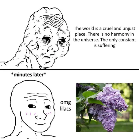 Doomer Discovers Lilacs