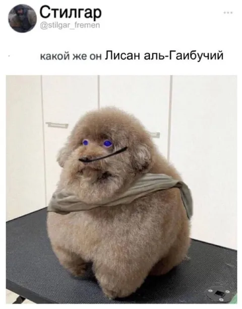 Лисан аль-Гаибучий пёс