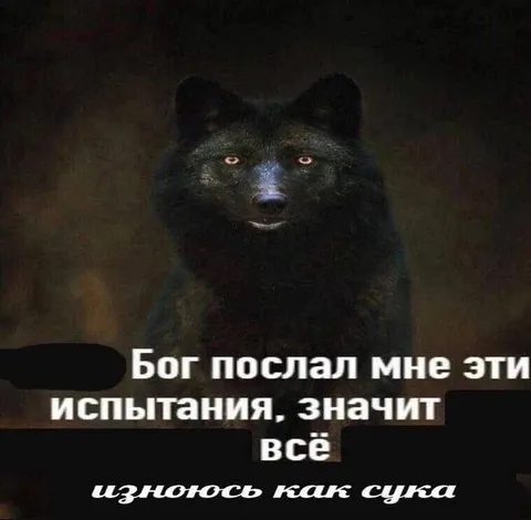 Бог послал испытания